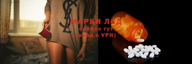 хмурый Алексин