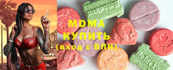 хмурый Алексин