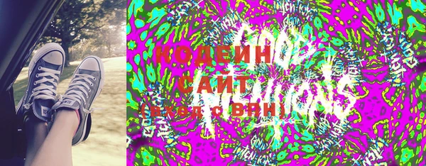 хмурый Алексин