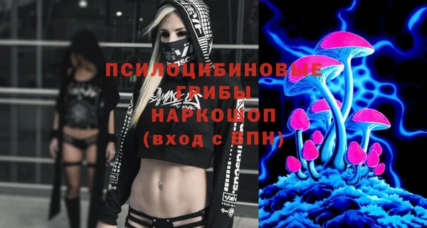 хмурый Алексин